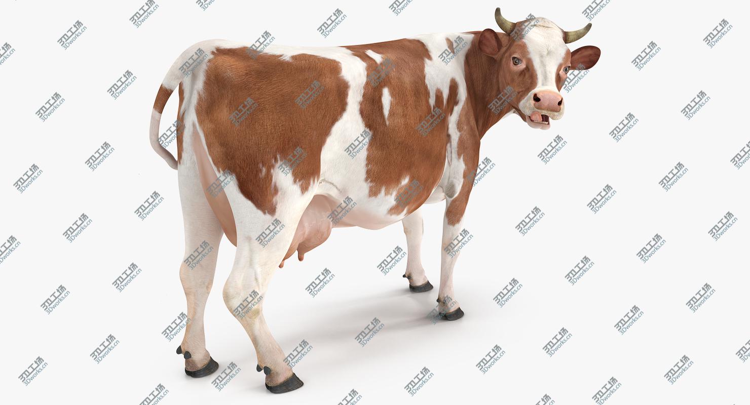 images/goods_img/20210319/Cow Rigged model/2.jpg